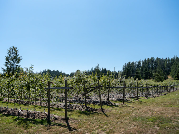 6316 Crowston Road, Sechelt, BC, V7Z 0L1 - 5