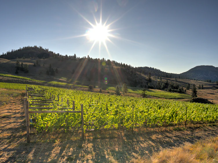 26405 Garnet Valley Road, Summerland, BC, V0H 1Z3 - 19