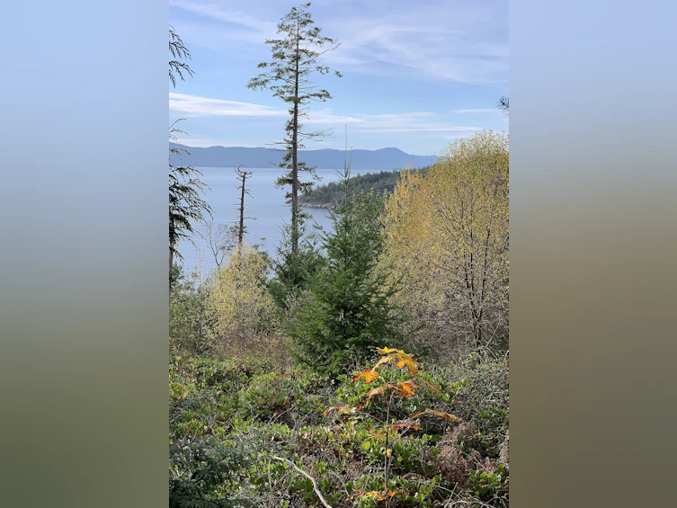 Lot-23 Sakinaw Drive, Pender Harbour Egmont, BC, V0N 1S1 - 7