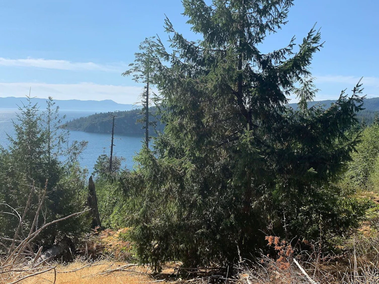Lot-23 Sakinaw Drive, Pender Harbour Egmont, BC, V0N 1S1 - 2