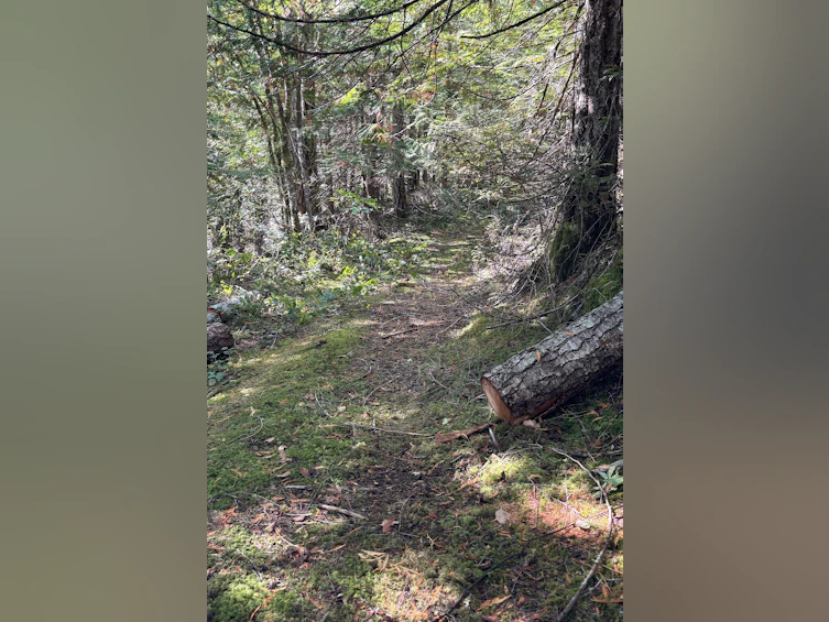 Lot-B Porters Road, Pender Harbour Egmont, BC, V0N 2H1 - 3