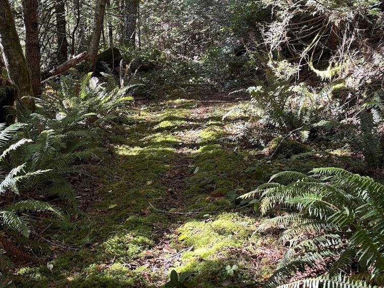 Lot-B Porters Road, Pender Harbour Egmont, BC, V0N 2H1 - 2