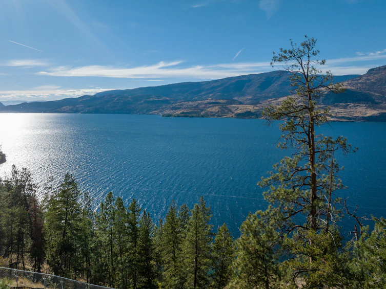210 Clifton Road, Kelowna, BC, V1V 1G3 - 8