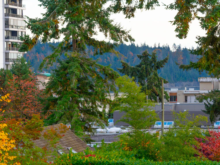914 17th Street, West Vancouver, BC, V7V 3T7 - 38