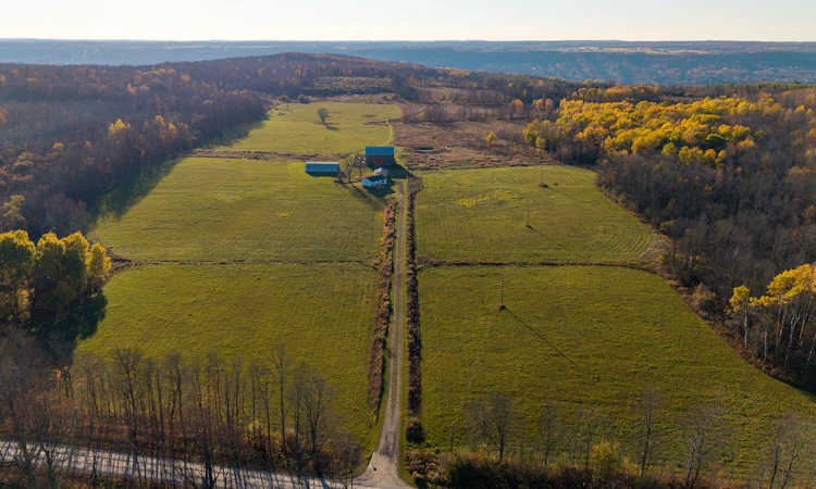 A-315298 3rd Line