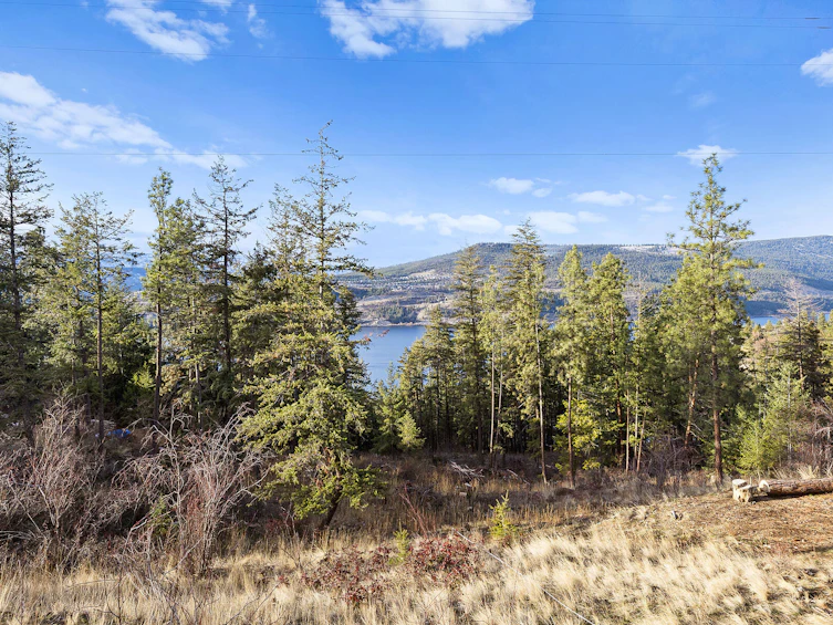 Lot B-12390 Oyama Road, Lake Country, BC, V4V 2A3 - 31