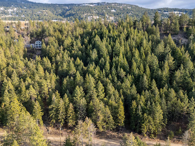 Lot B-12390 Oyama Road, Lake Country, BC, V4V 2A3 - 23