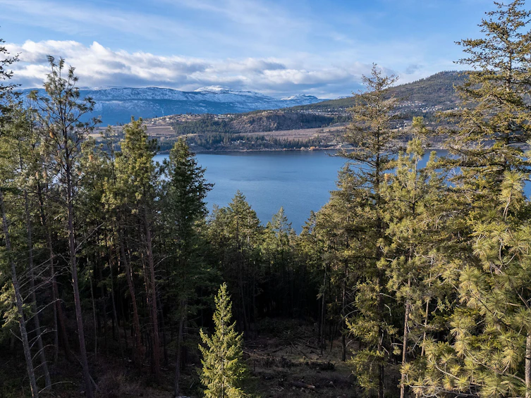 Lot B-12390 Oyama Road, Lake Country, BC, V4V 2A3 - 18