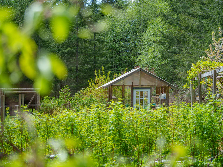 1531 Lockyer Road, Roberts Creek, BC, V0N 2W1 - 37