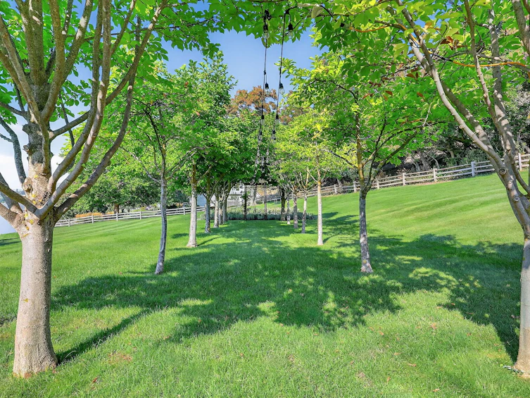 12056 W Okanagan Centre Road, Lake Country, BC, V4V 2H5 - 61