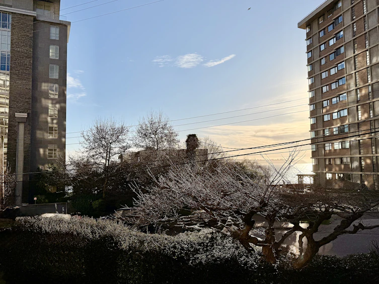 105-2135 Argyle Avenue, West Vancouver, BC, V7V 1A5 - 24