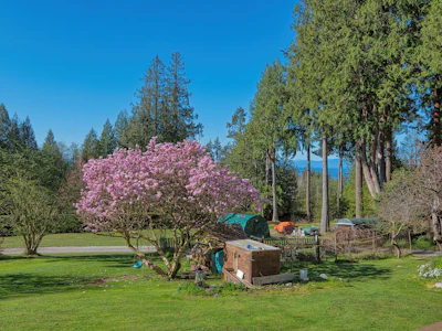 1106 A B Gladwin Trail Road - 5