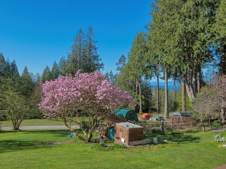 1106 A B Gladwin Trail Road, Roberts Creek, BC, V0N 2W4 - 5