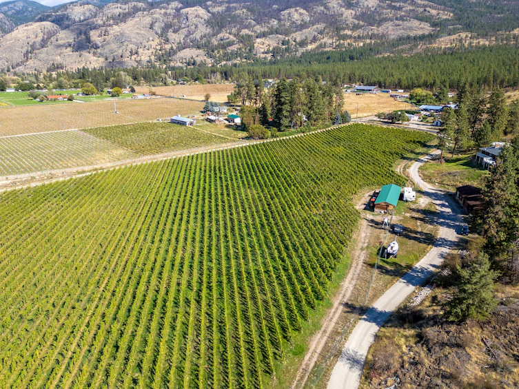 1580 Chapman Road, Okanagan Falls, BC, V0H 1R1 - 6