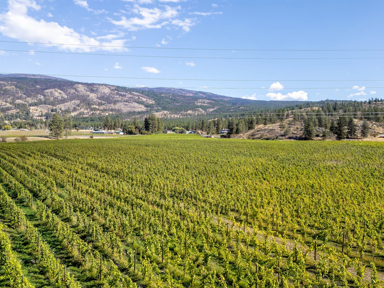 1580 Chapman Road, Okanagan Falls, BC, V0H 1R1 - 10