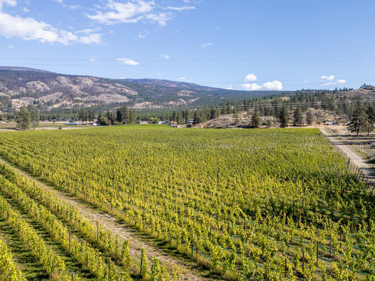 1580 Chapman Road, Okanagan Falls, BC, V0H 1R1 - 9