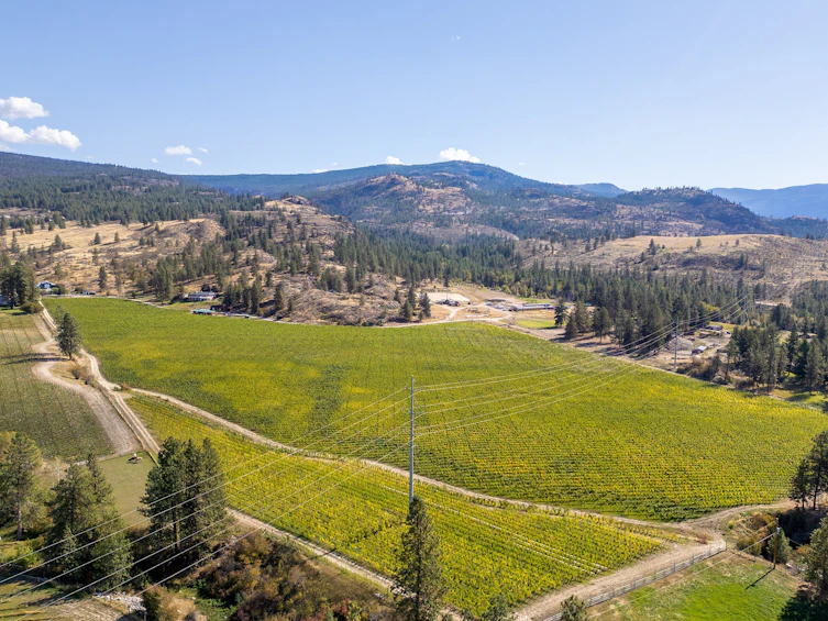1580 Chapman Road, Okanagan Falls, BC, V0H 1R1 - 13