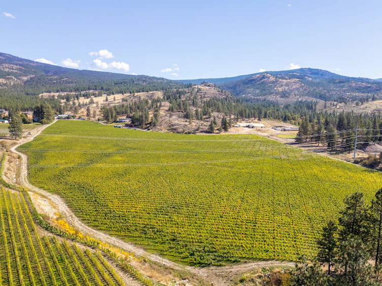 1580 Chapman Road, Okanagan Falls, BC, V0H 1R1 - 12