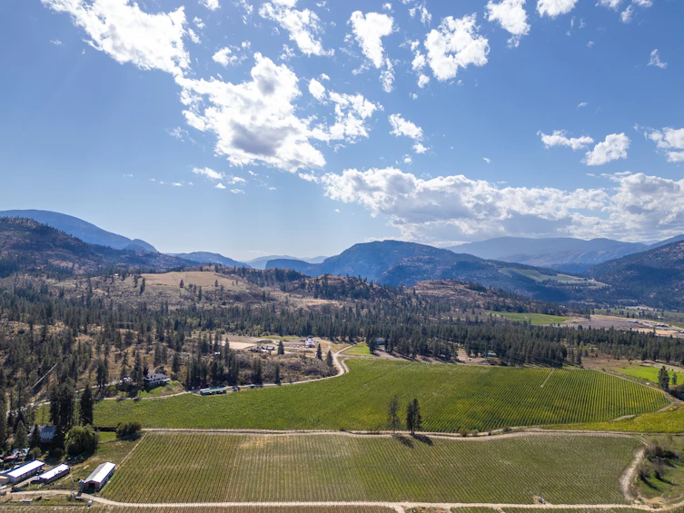 1580 Chapman Road, Okanagan Falls, BC, V0H 1R1 - 15
