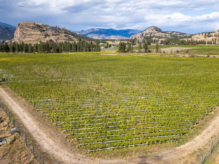 1580 Chapman Road, Okanagan Falls, BC, V0H 1R1 - 7