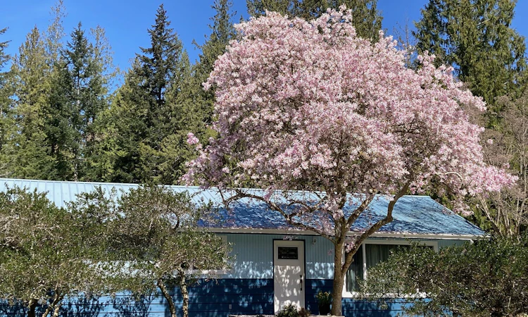 4569 Francis Peninsula Road