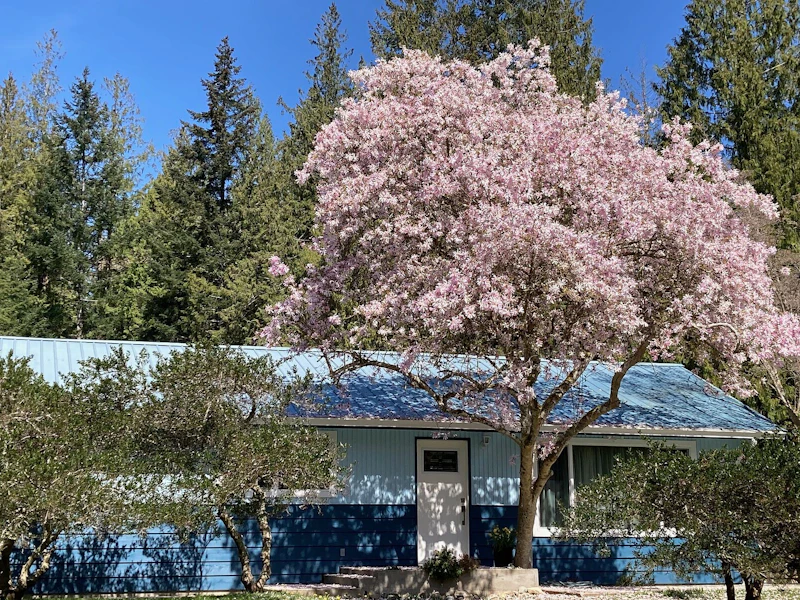 4569 Francis Peninsula Road, Pender Harbour Egmont BC