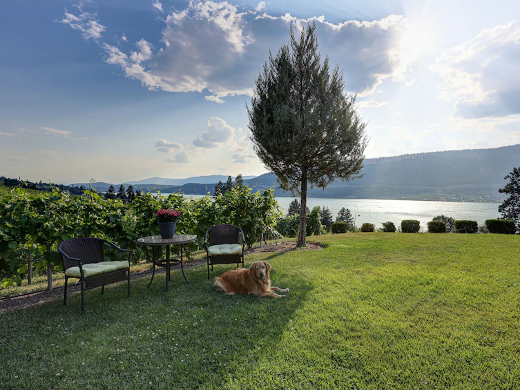 14911 Oyama Road, Lake Country, BC, V4V 2C6 - 36