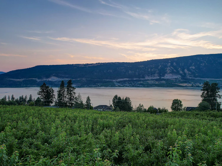 14911 Oyama Road, Lake Country, BC, V4V 2C6 - 104