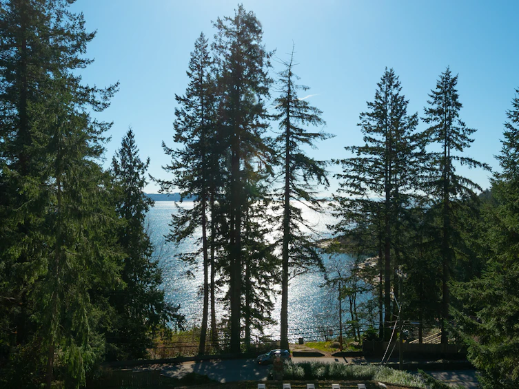4437 North Piccadilly, West Vancouver, BC, V7W 1C8 - 50