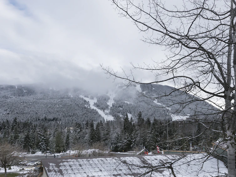 433-4314 Main Street, Whistler, BC, V8E 1A8 - 6
