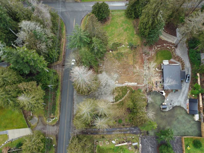 103 Pratt Road - 4
