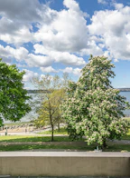 2015 Beach Avenue 302