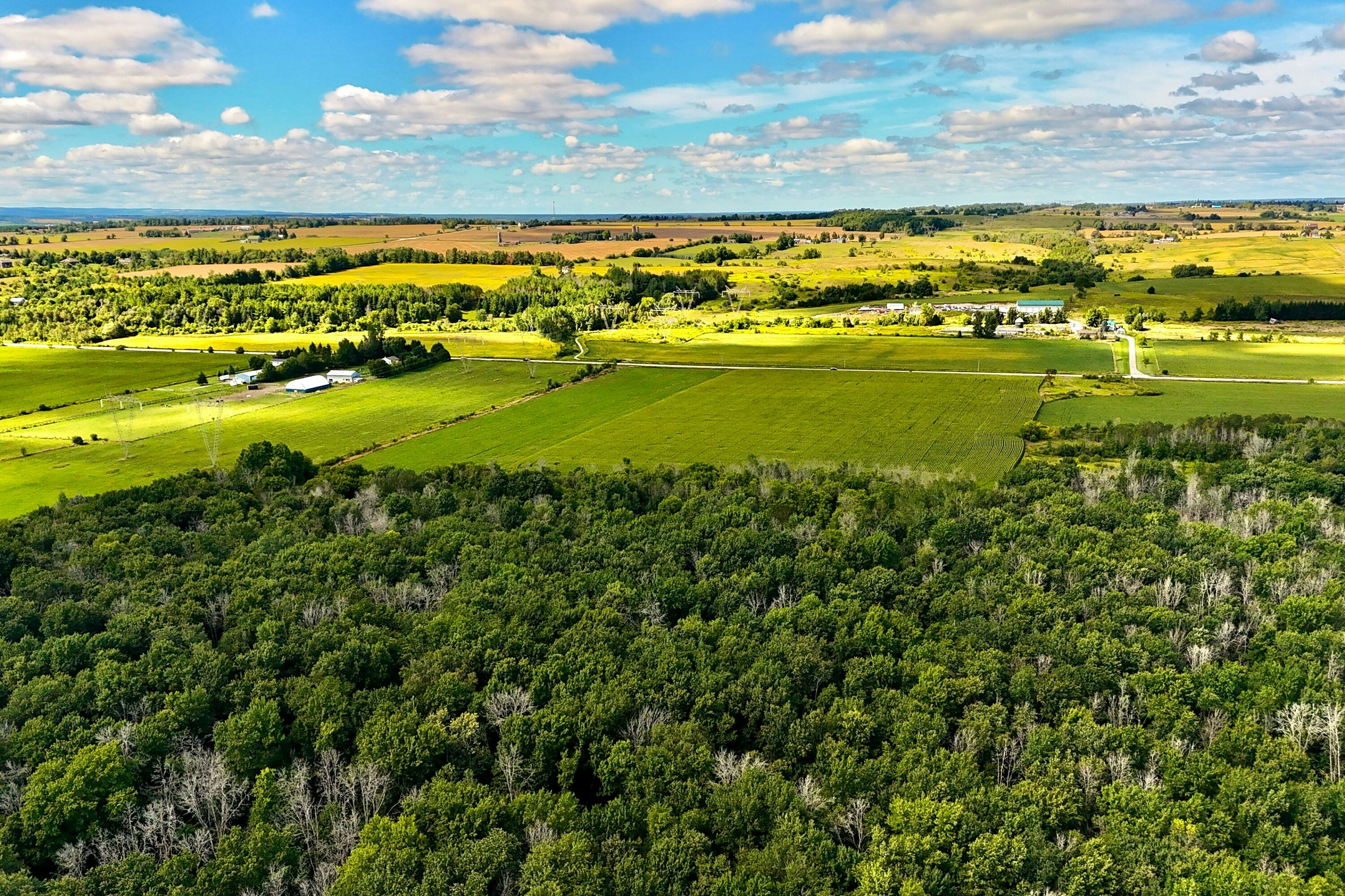 5231 13th Line, New Tecumseth, ON, L0G 1B0