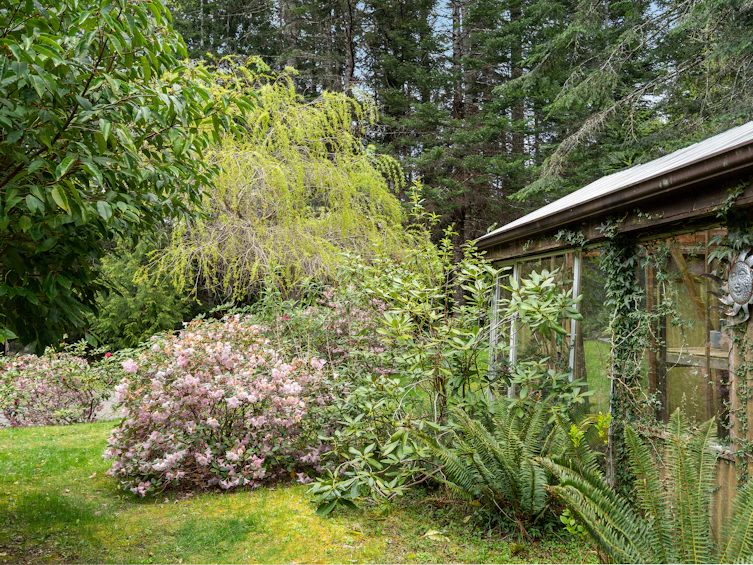 6907 Sellars Road, Sooke, BC, V9Z 0K9 - 67