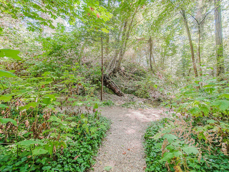 16 Passage Island, Passage Island, BC, V7W 1V7 - 14