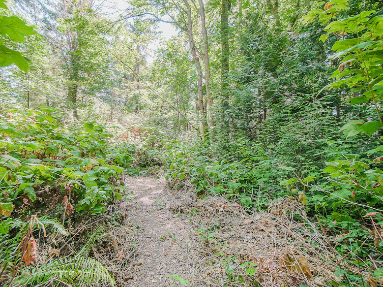 16 Passage Island, Passage Island, BC, V7W 1V7 - 11