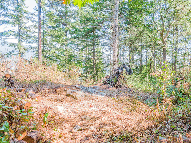 16 Passage Island, Passage Island, BC, V7W 1V7 - 9