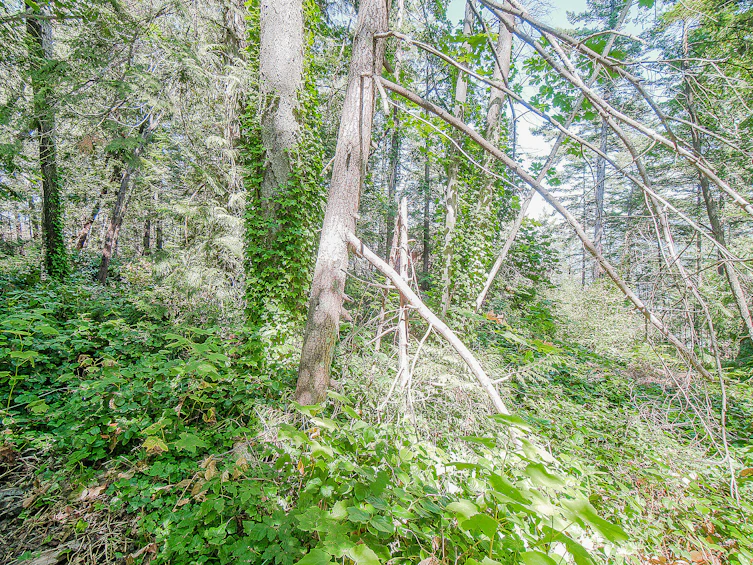 16 Passage Island, Passage Island, BC, V7W 1V7 - 6
