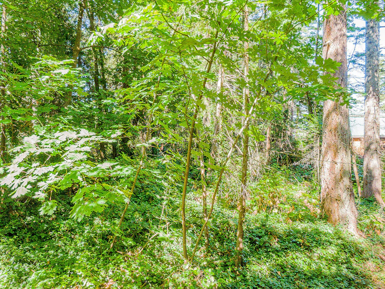 16 Passage Island, Passage Island, BC, V7W 1V7 - 7