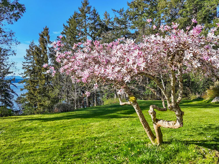 8440 Lawrence Road, Central Saanich, BC, V8M 1S5 - 47