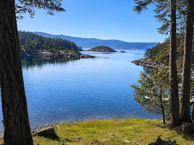 Lot-12 Pinehaven Way - 5