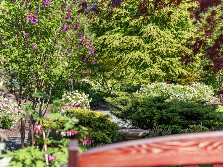 7708 West Coast Road, Sooke, BC, V9Z 0R7 - 44
