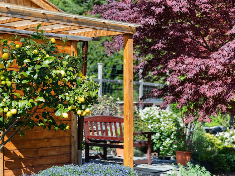 7708 West Coast Road, Sooke, BC, V9Z 0R7 - 42