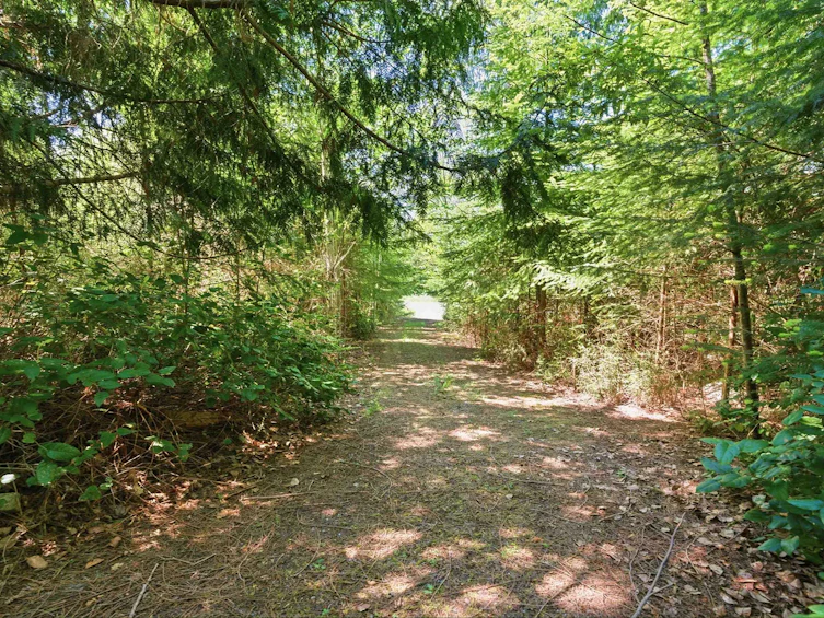 Lot-23 Sakinaw Drive, Pender Harbour Egmont, BC, V0N 1S1 - 30