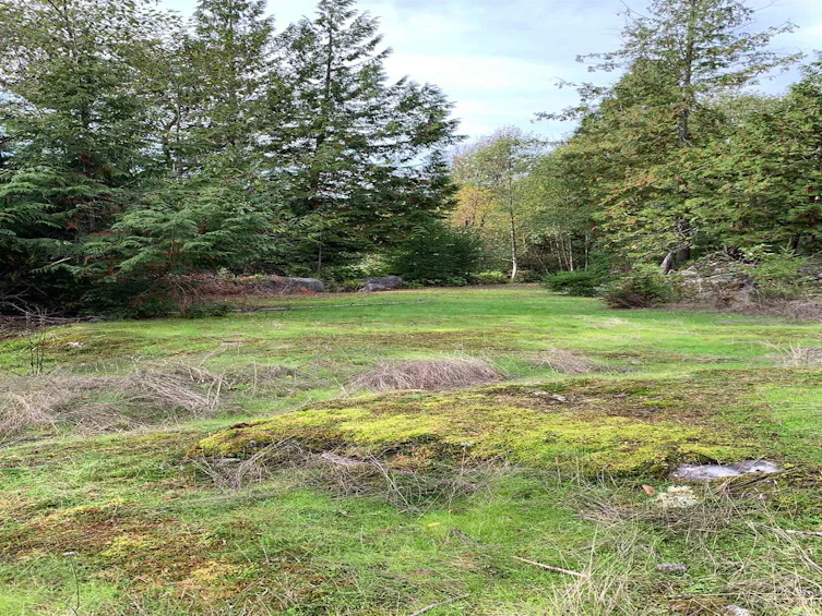 Lot-23 Sakinaw Drive, Pender Harbour Egmont, BC, V0N 1S1 - 26