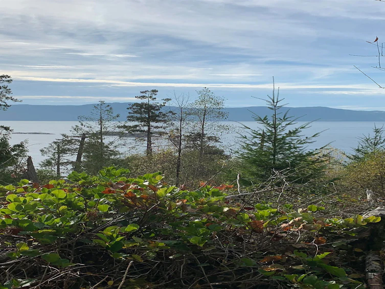 Lot-23 Sakinaw Drive, Pender Harbour Egmont, BC, V0N 1S1 - 22