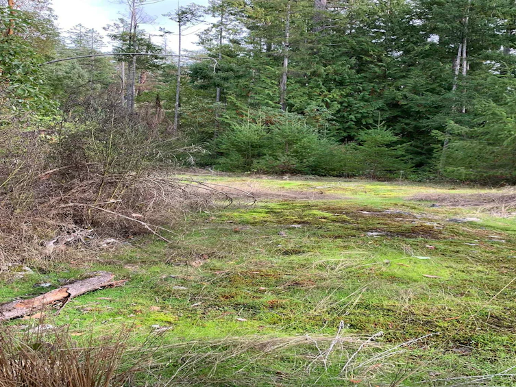 Lot-23 Sakinaw Drive, Pender Harbour Egmont, BC, V0N 1S1 - 28
