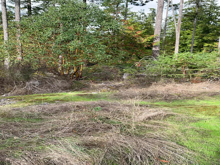 Lot-23 Sakinaw Drive, Pender Harbour Egmont, BC, V0N 1S1 - 27