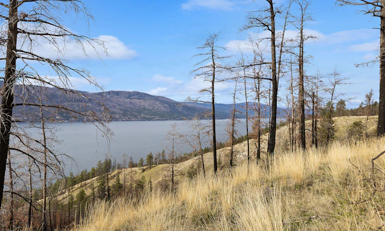 Lot-20 Tyndall Road