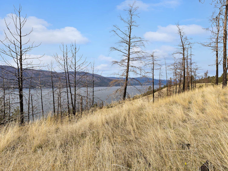 Lot-20 Tyndall Road, Lake Country, BC, V4V 0A9 - 7